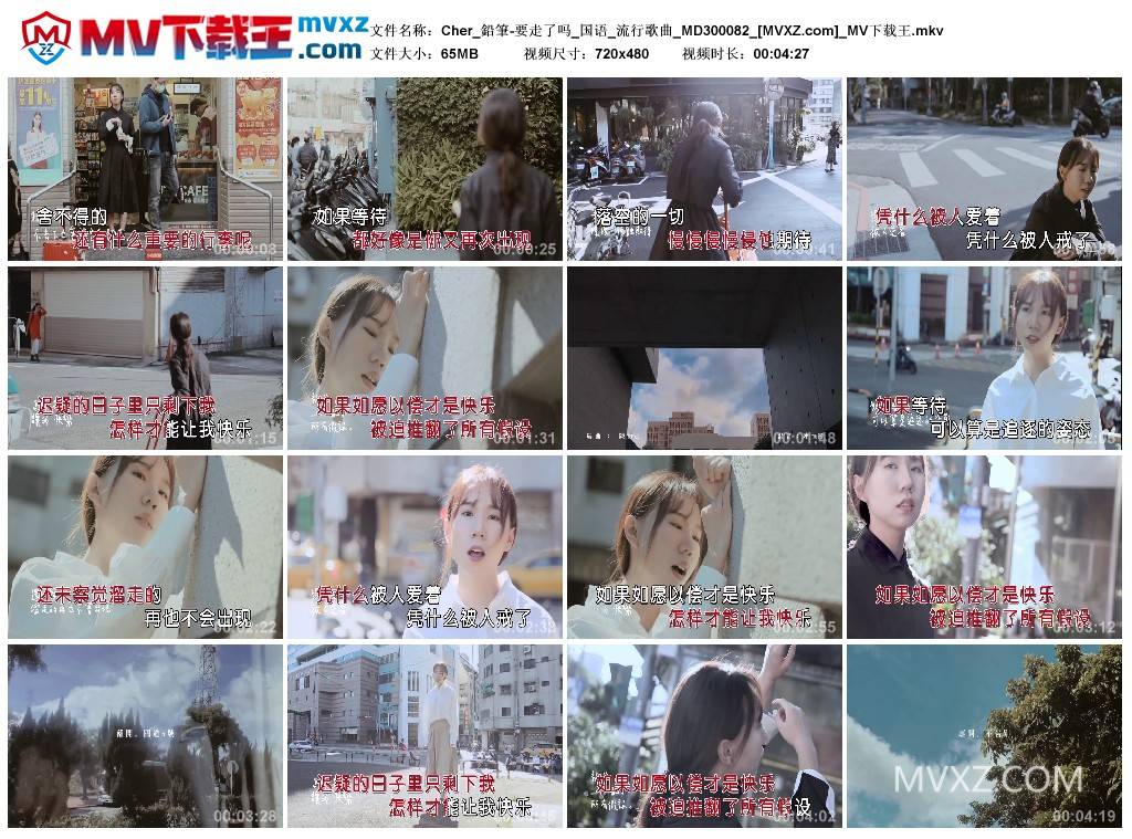 Cher_鉛筆-要走了吗_国语_流行歌曲_MD300082